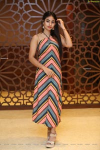 Honey Chowdary in Multi Striped Slender Halter Neck Dress