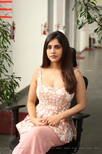 Nabha Natesh at Alludu Adhurs Movie Interview