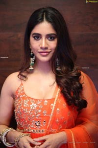 Nabha Natesh at Alludu Adhurs Movie Success Meet