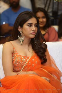 Nabha Natesh at Alludu Adhurs Movie Success Meet