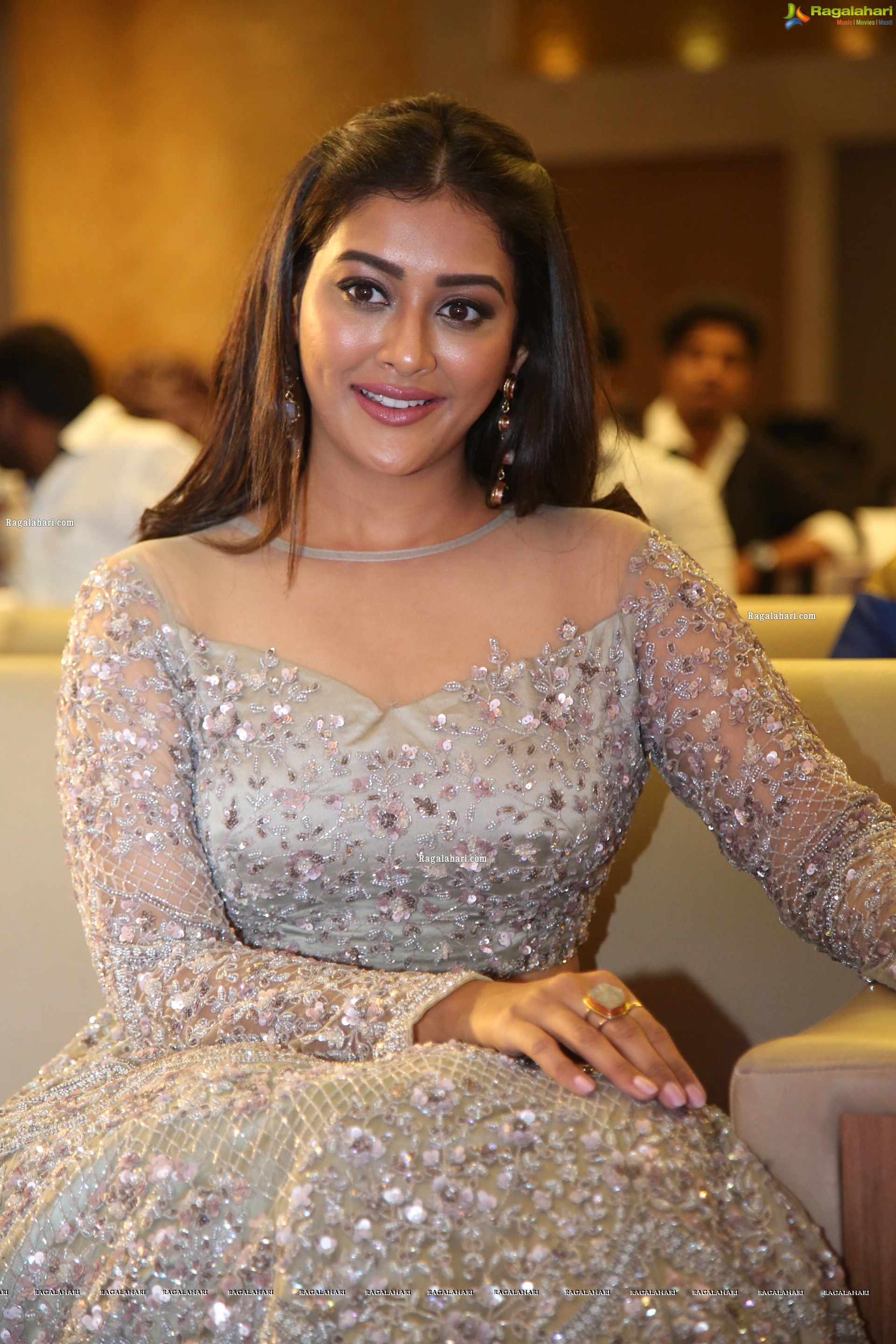 Pooja Jhaveri at Bangaru Bullodu Pre-Release Event, HD Photo Gallery