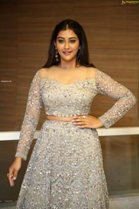 Pooja Jhaveri at Bangaru Bullodu Pre-release event