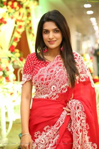 Ritu Biradar in Red Embellished Saree