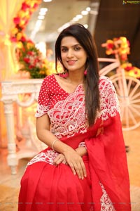 Ritu Biradar in Red Embellished Saree