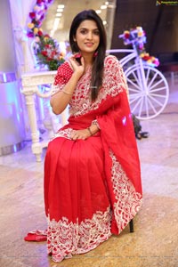 Ritu Biradar in Red Embellished Saree