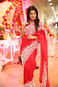 Ritu Biradar in Red Embellished Saree