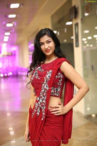 Riya Singh in Dazzling Red Designer Saree