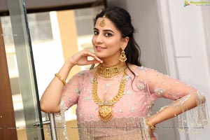 Tejal Tammali at Hi Life Exhibition Curtain Raiser