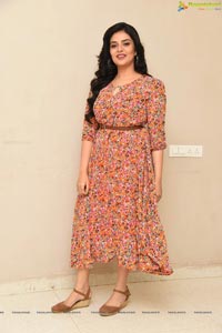 Sreemukhi at Red Movie Success Meet