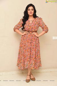 Sreemukhi at Red Movie Success Meet