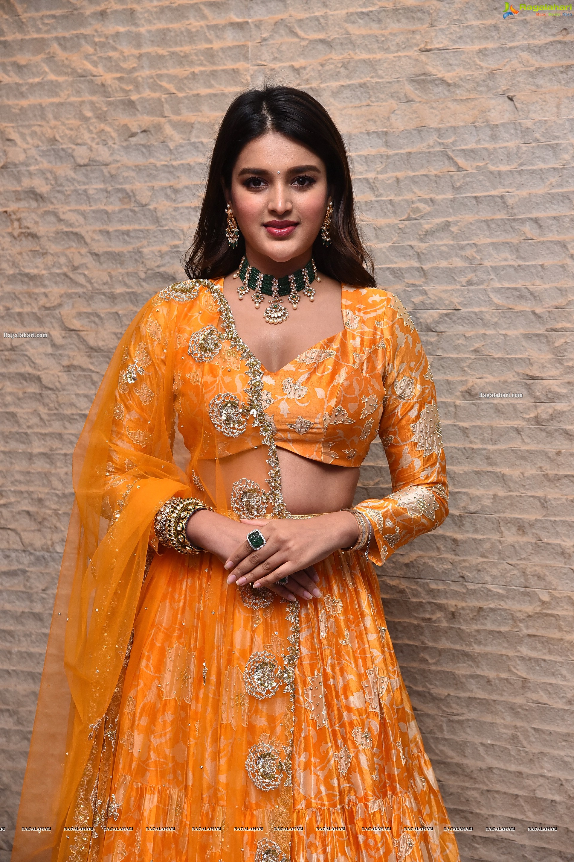 Nidhhi Agerwal Latest Photoshoot Stills, HD Photo Gallery