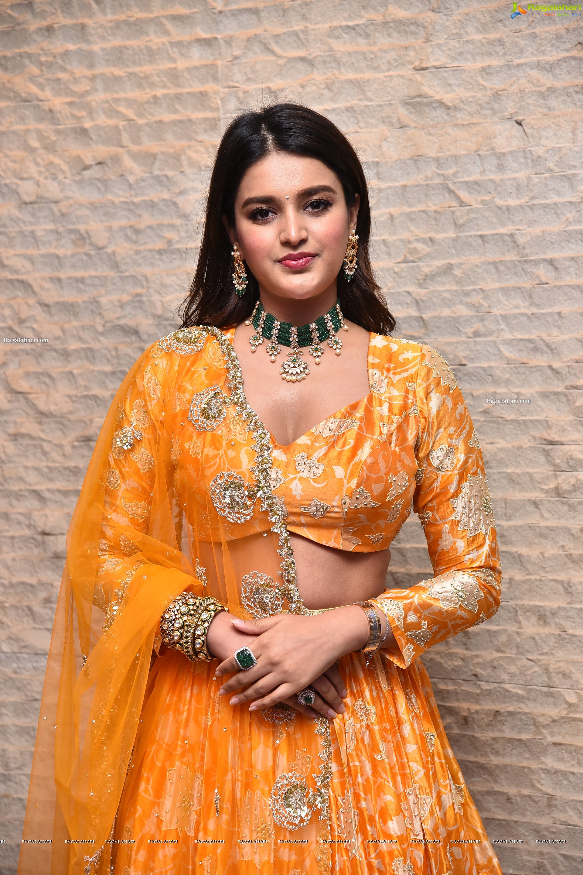 Nidhhi Agerwal Latest Photoshoot Stills, HD Photo Gallery