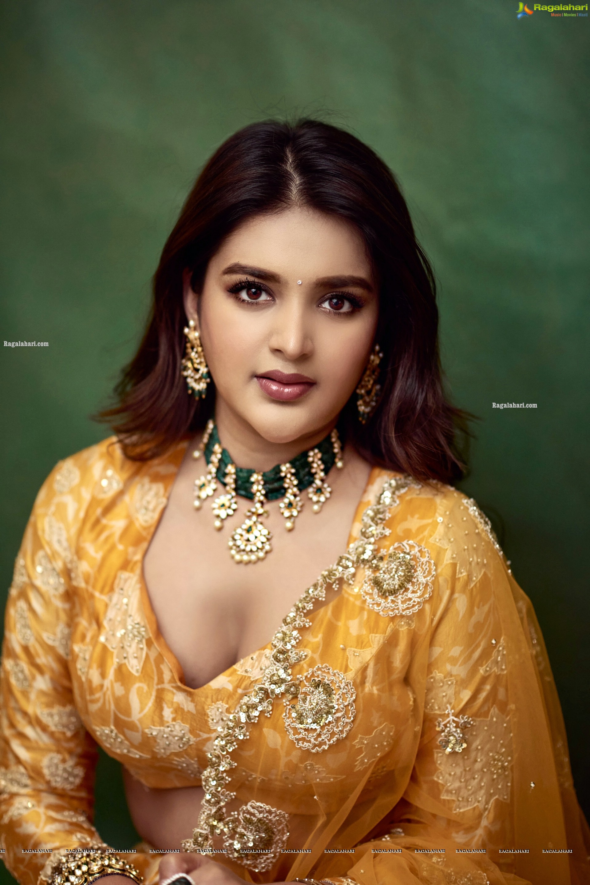 Nidhhi Agerwal Latest Photoshoot Stills, HD Photo Gallery