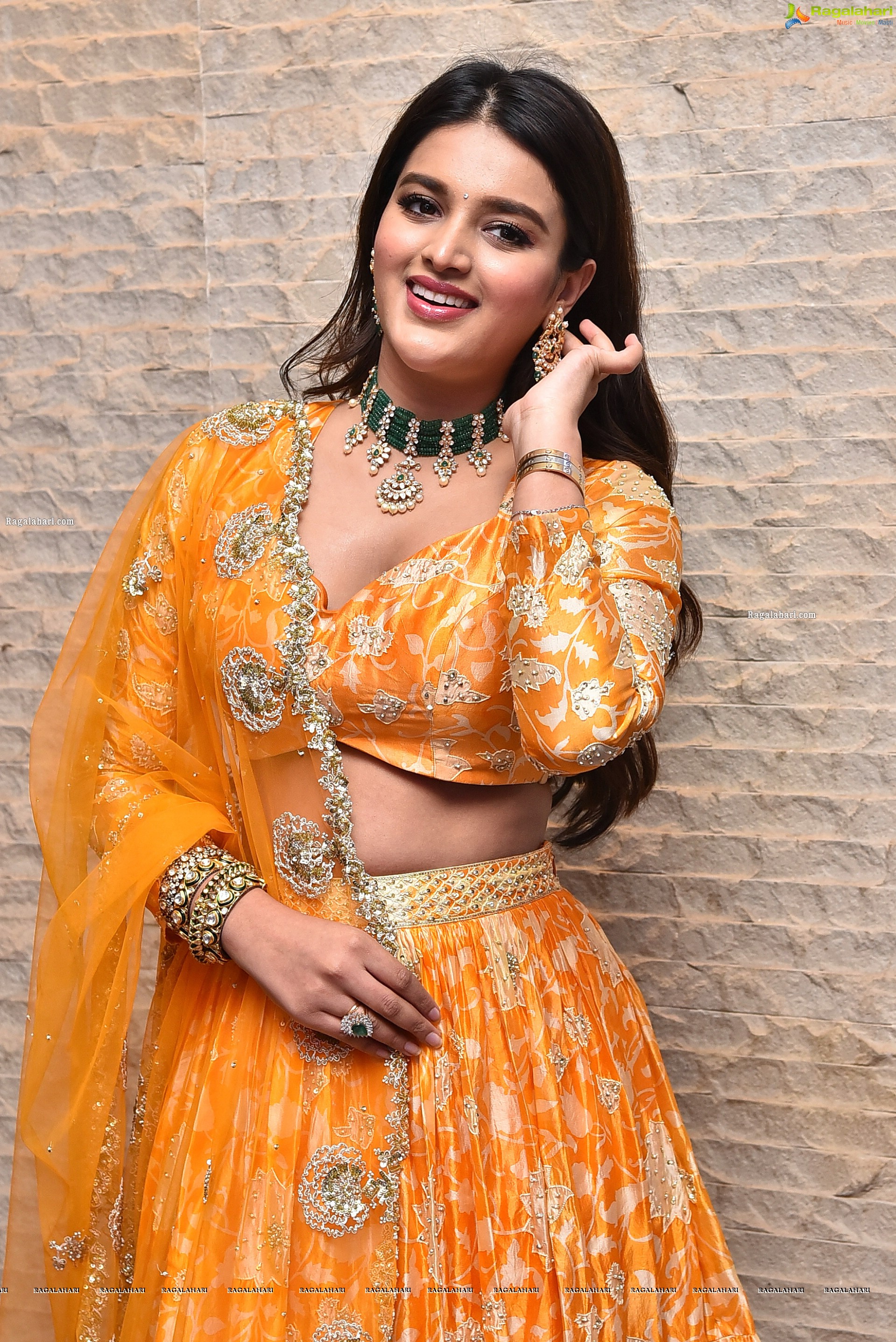 Nidhhi Agerwal Latest Photoshoot Stills, HD Photo Gallery