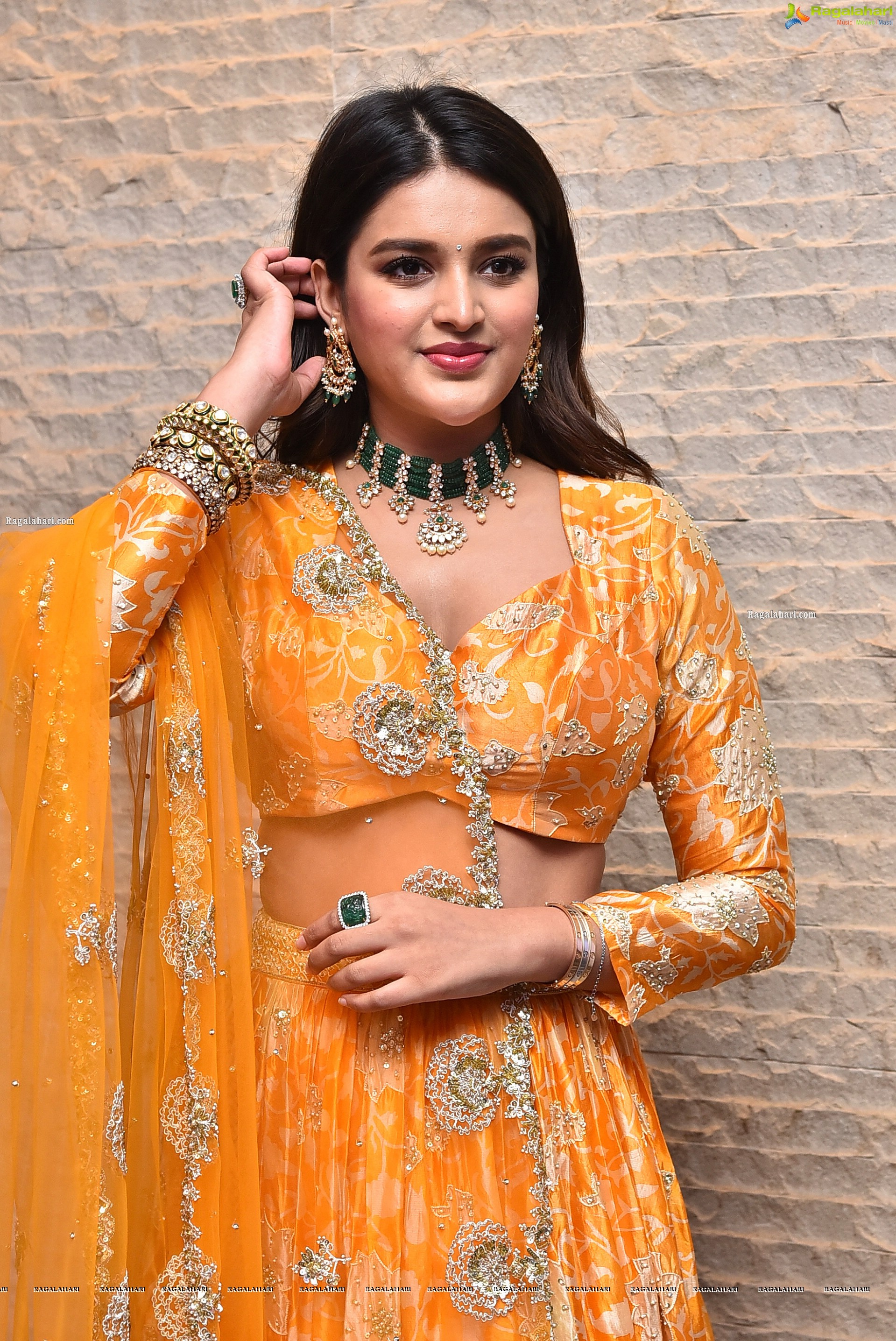 Nidhhi Agerwal Latest Photoshoot Stills, HD Photo Gallery