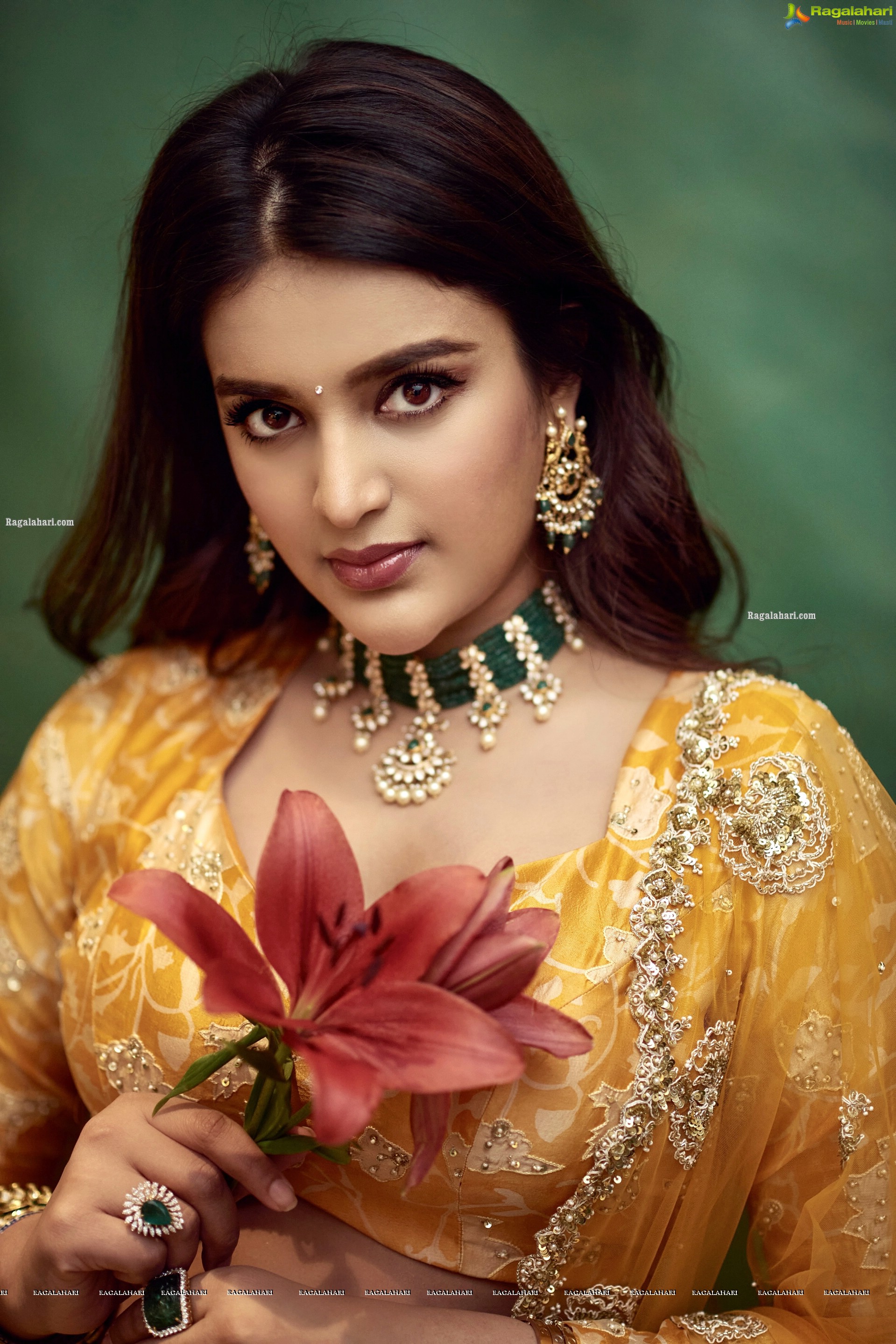 Nidhhi Agerwal Latest Photoshoot Stills, HD Photo Gallery