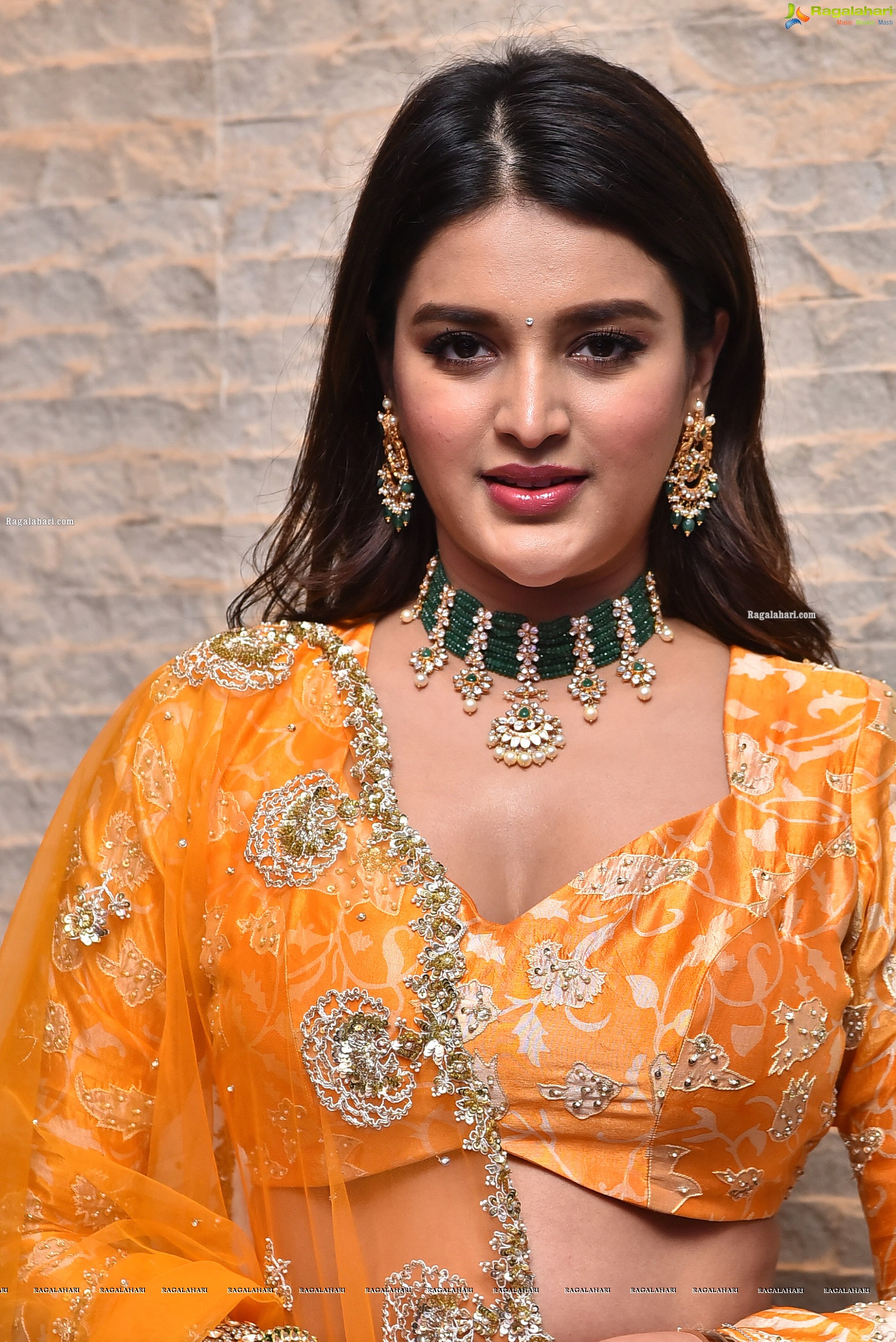 Nidhhi Agerwal Latest Photoshoot Stills, HD Photo Gallery