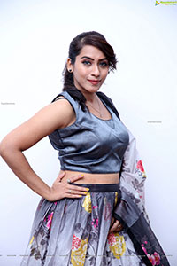 Preethi Singh Latest HD Photo Gallery