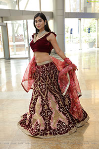 Subhashree Rayaguru in Maroon Embellished Lehenga Choli