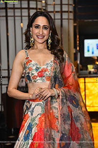 Pragya Jaiswal at Daaku Maharaaj Press Meet, HD Gallery