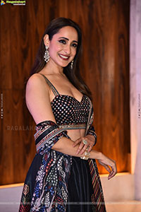 Pragya Jaiswal at Daaku Maharaaj Blockbuster Press Meet