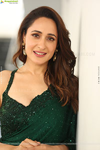 Pragya Jaiswal at Daaku Maharaaj Interview, HD Gallery