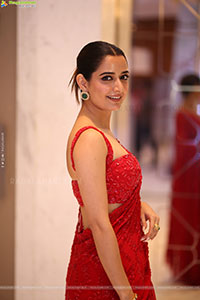 Ashika at Bhartha Mahasayulaku Wignyapthi Prerelease 