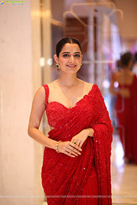 Ashika at Bhartha Mahasayulaku Wignyapthi Prerelease 