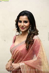 Ashu Reddy Beautiful stills in Saree, HD Gallery