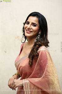 Ashu Reddy Beautiful stills in Saree, HD Gallery