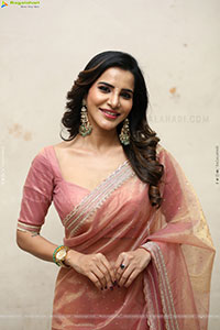 Ashu Reddy Beautiful stills in Saree, HD Gallery