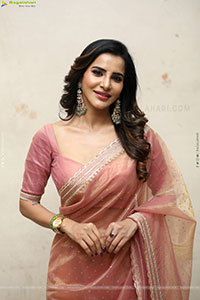 Ashu Reddy Beautiful stills in Saree, HD Gallery