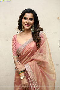 Ashu Reddy Beautiful stills in Saree, HD Gallery