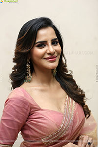 Ashu Reddy Beautiful stills in Saree, HD Gallery