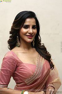 Ashu Reddy Beautiful stills in Saree, HD Gallery