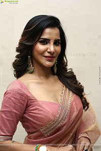 Ashu Reddy Beautiful stills in Saree, HD Gallery