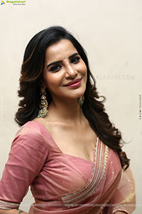 Ashu Reddy Beautiful stills in Saree, HD Gallery