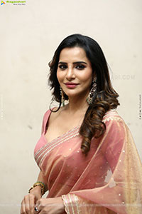 Ashu Reddy Beautiful stills in Saree, HD Gallery