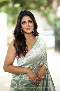 Dimple Hayathi Glam Stills in Saree, HD Gallery