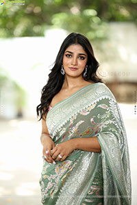 Dimple Hayathi Glam Stills in Saree, HD Gallery