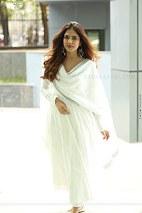 Malavika Mohanan at The Rajasaab Movie Success Meet