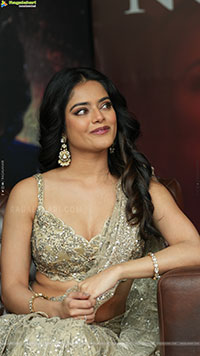 Riddhi Kumar at The Rajasaab Blockbuster Meet