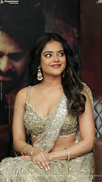 Riddhi Kumar at The Rajasaab Blockbuster Meet