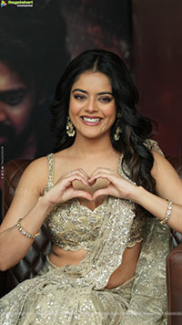 Riddhi Kumar at The Rajasaab Blockbuster Meet