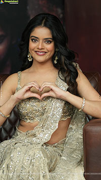 Riddhi Kumar at The Rajasaab Blockbuster Meet