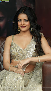 Riddhi Kumar at The Rajasaab Blockbuster Meet