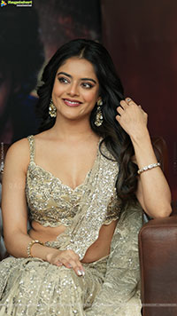 Riddhi Kumar at The Rajasaab Blockbuster Meet