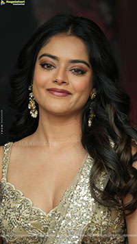 Riddhi Kumar at The Rajasaab Blockbuster Meet