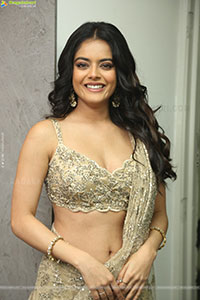Riddhi Kumar at The Rajasaab Blockbuster Meet