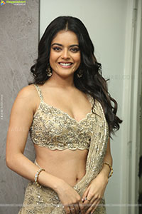 Riddhi Kumar at The Rajasaab Blockbuster Meet
